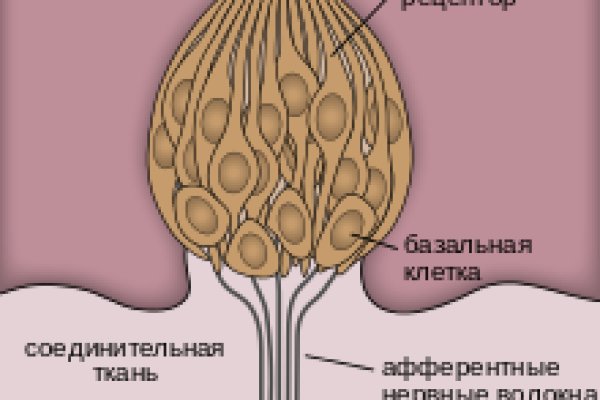 Найти ссылку кракен